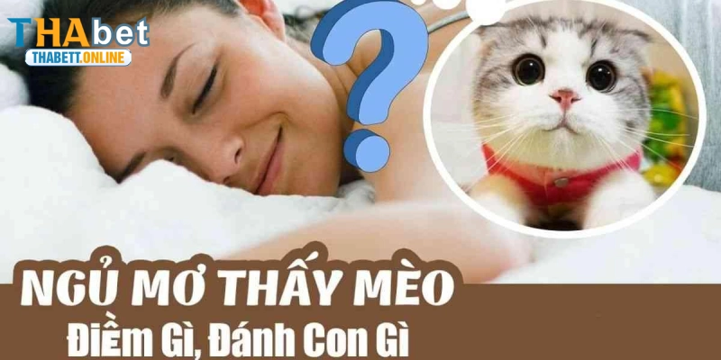 Khám phá các bộ số lô đề may mắn giúp tối ưu cơ hội thắng cược